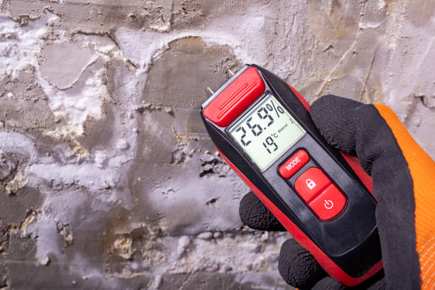 Best Mold Testing  in Gwinn, MI