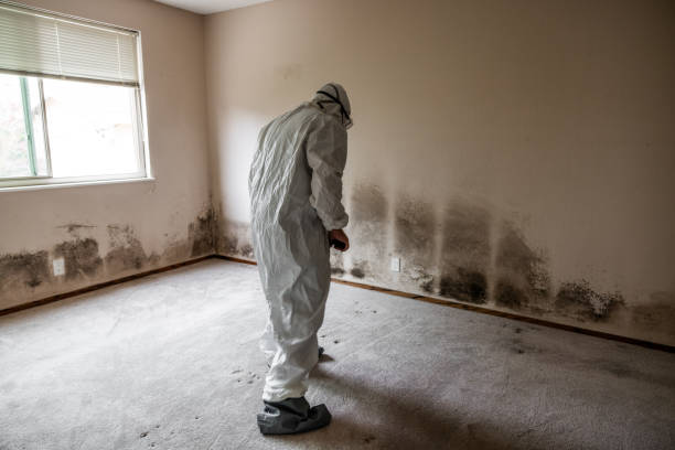 Best Residential Mold Removal  in Gwinn, MI